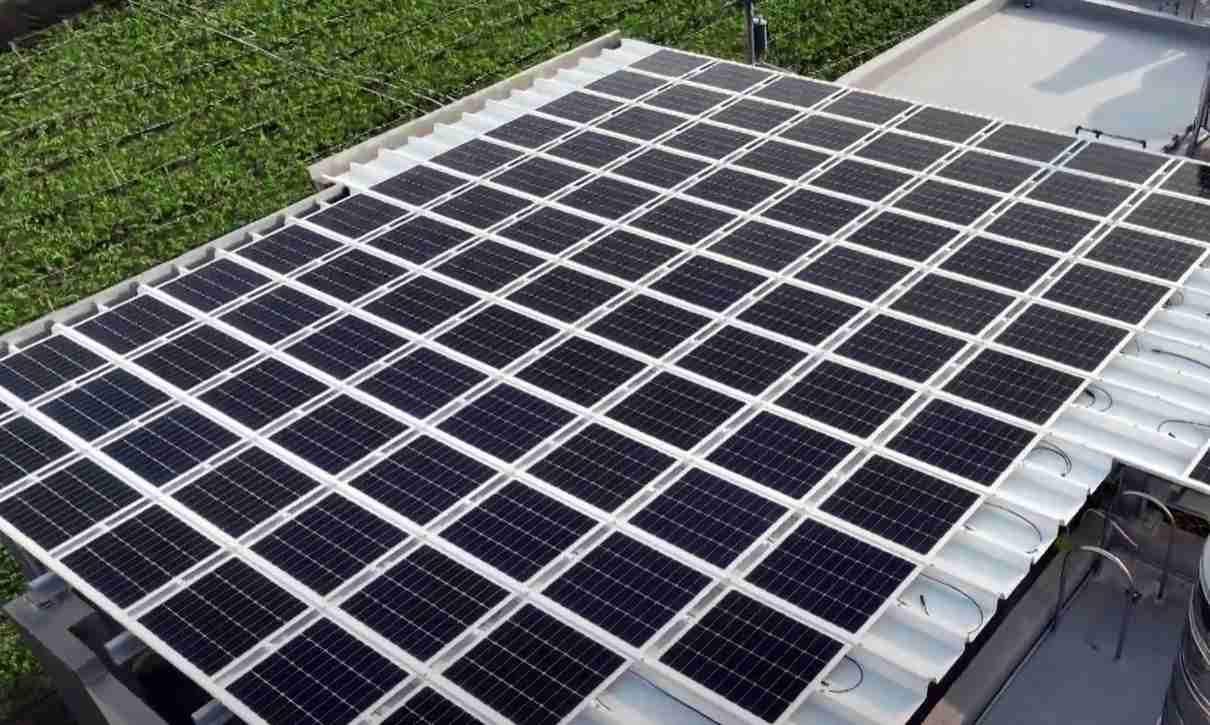 2121非凡SunSteel光电浪板升级双玻结构，，，，以提升机械负载强度及气候耐候度，，，，可广泛运用于多元场域